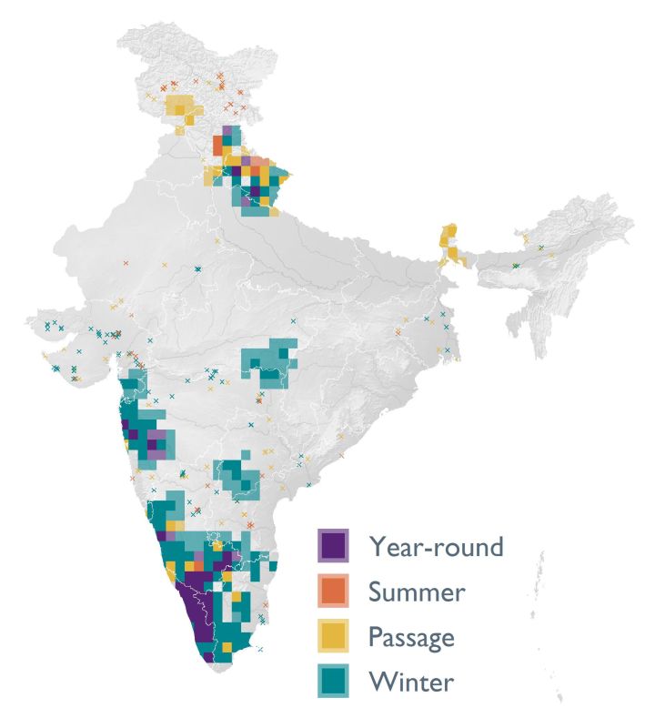 Distribution map (SoIB 2020)