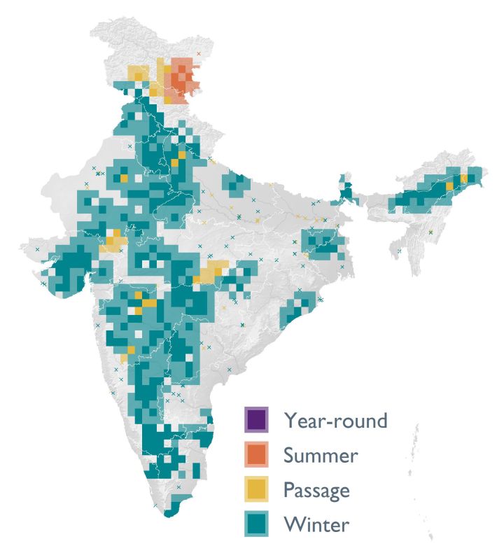 Distribution map (SoIB 2020)