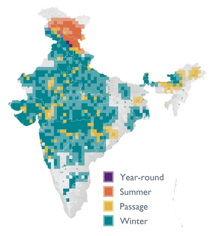 Distribution map (SoIB 2020)