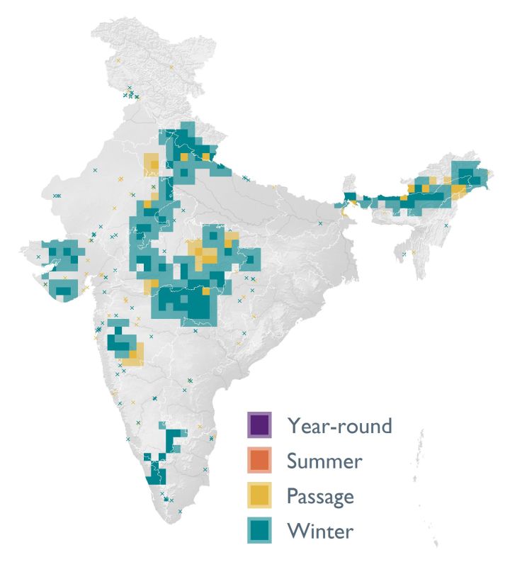 Distribution map (SoIB 2020)