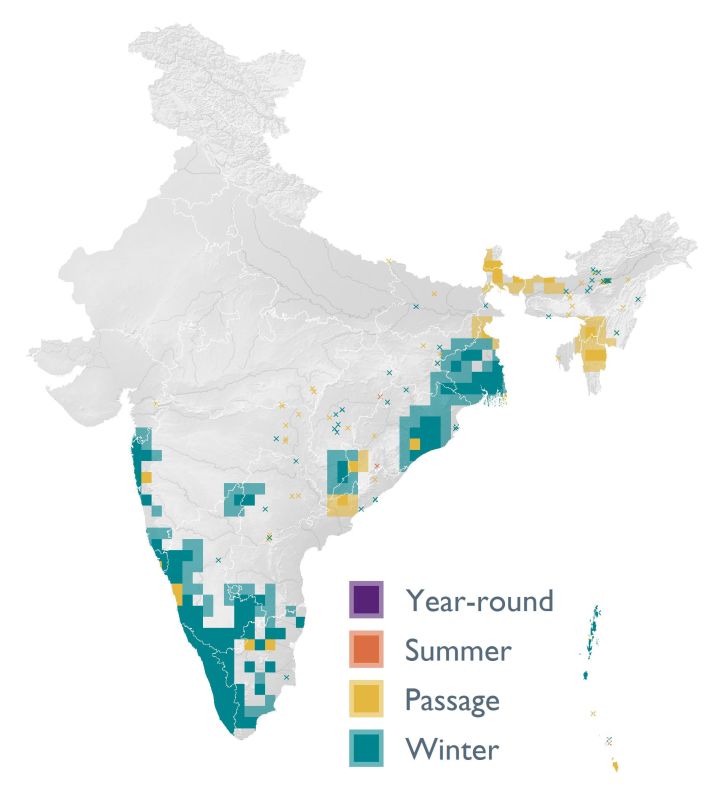 Distribution map (SoIB 2020)