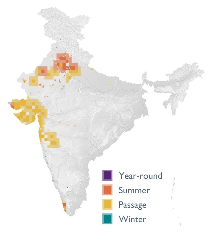 Distribution map (SoIB 2020)