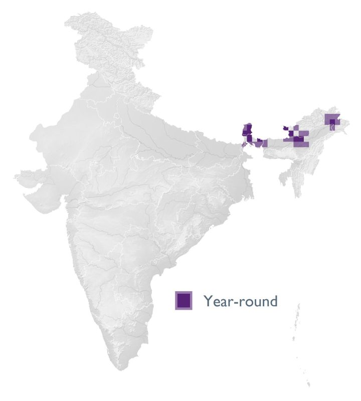 Distribution map (SoIB 2020)