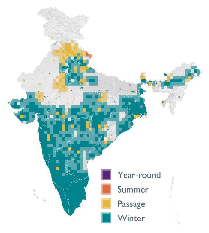 Distribution map (SoIB 2020)