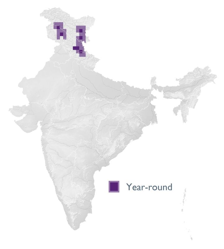 Distribution map (SoIB 2020)