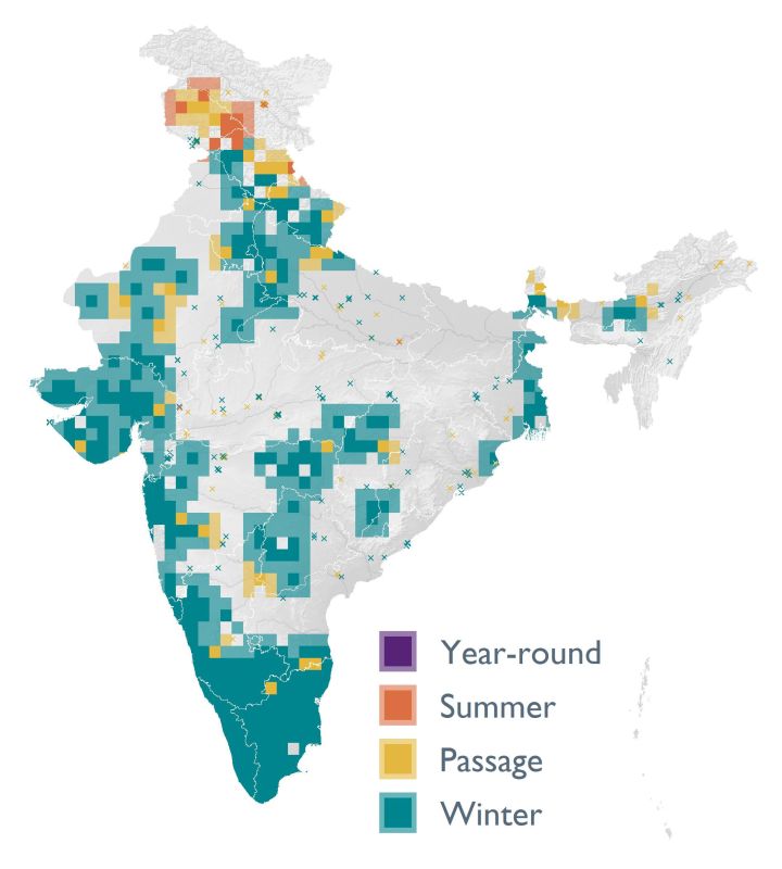 Distribution map (SoIB 2020)