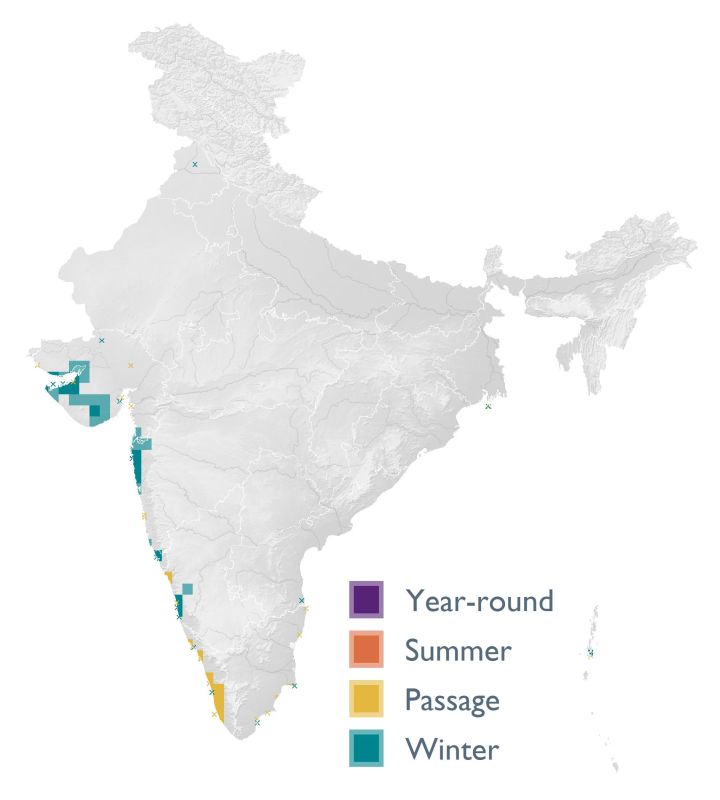 Distribution map (SoIB 2020)