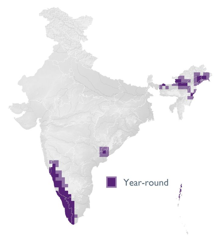 Distribution map (SoIB 2020)