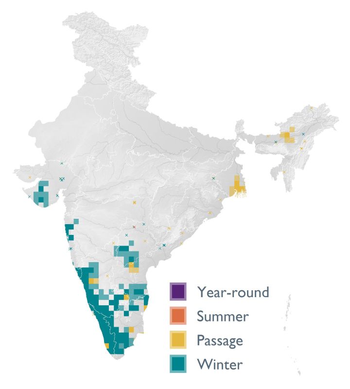 Distribution map (SoIB 2020)