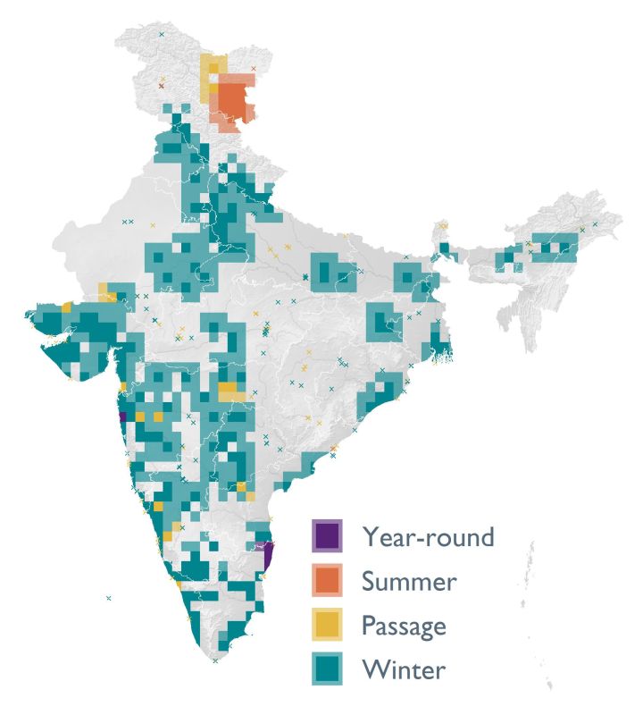 Distribution map (SoIB 2020)