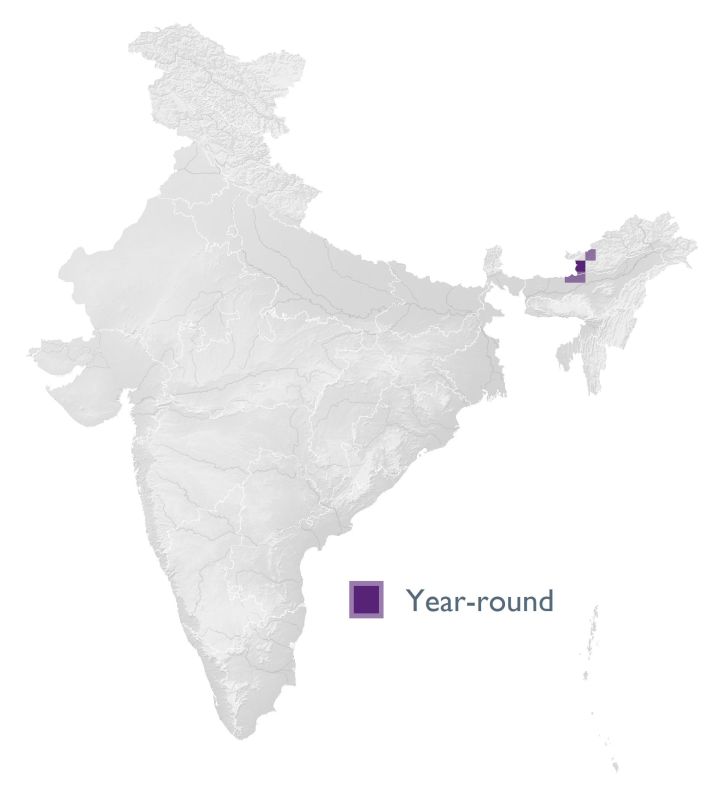 Distribution map (SoIB 2020)