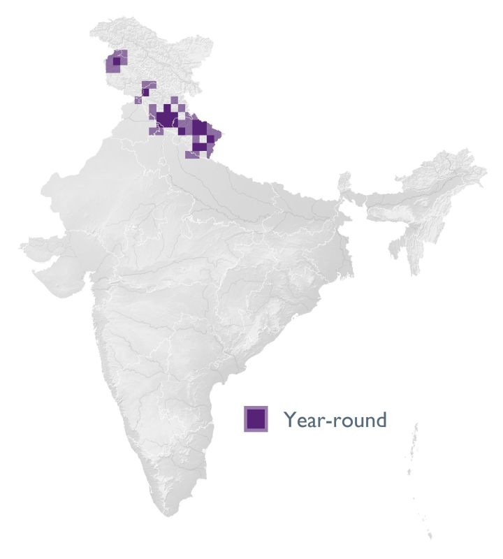 Distribution map (SoIB 2020)