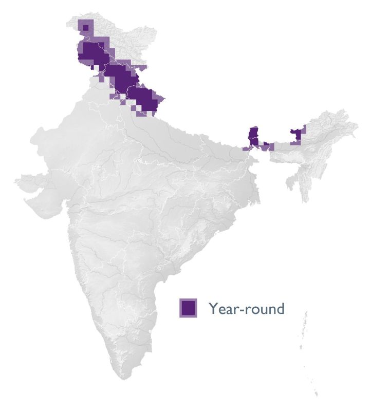 Distribution map (SoIB 2020)