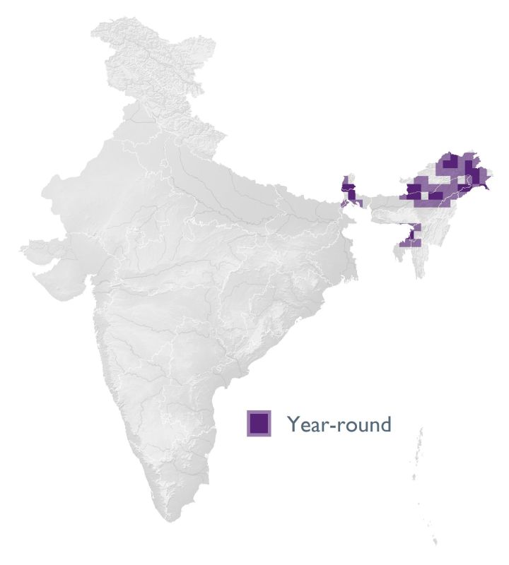 Distribution map (SoIB 2020)