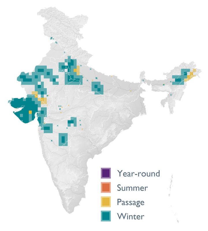 Distribution map (SoIB 2020)