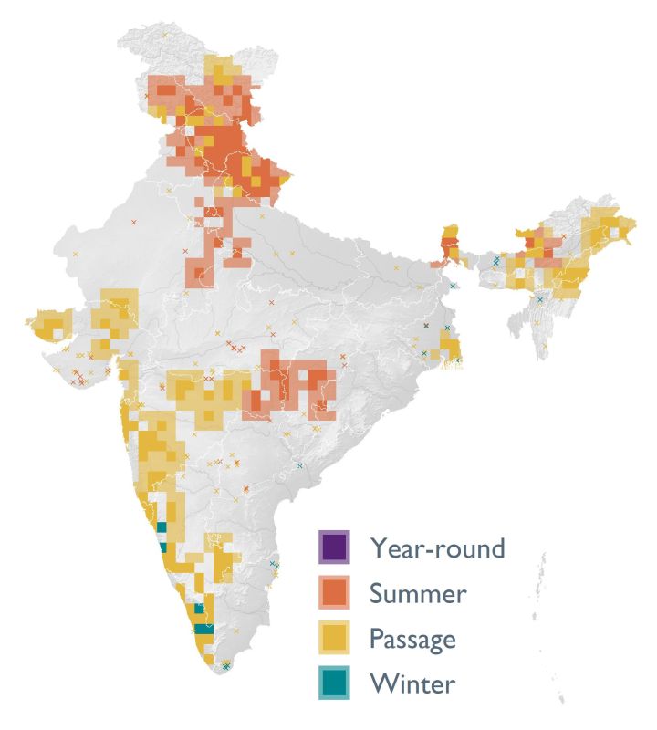 Distribution map (SoIB 2020)