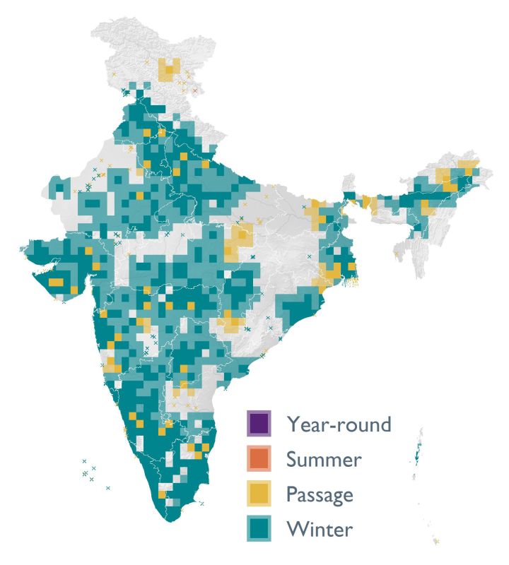 Distribution map (SoIB 2020)