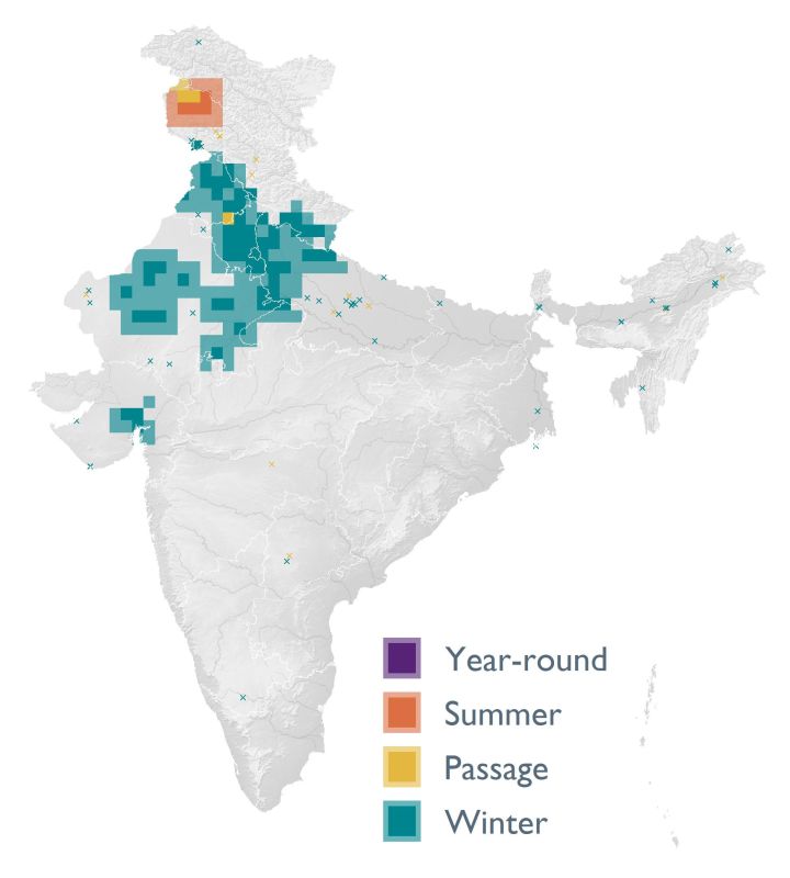 Distribution map (SoIB 2020)