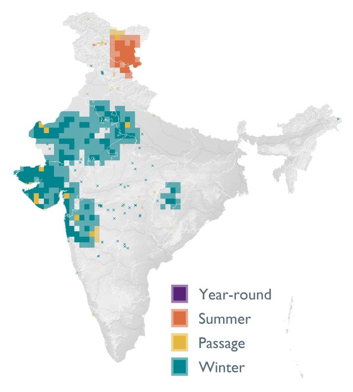 Distribution map (SoIB 2020)