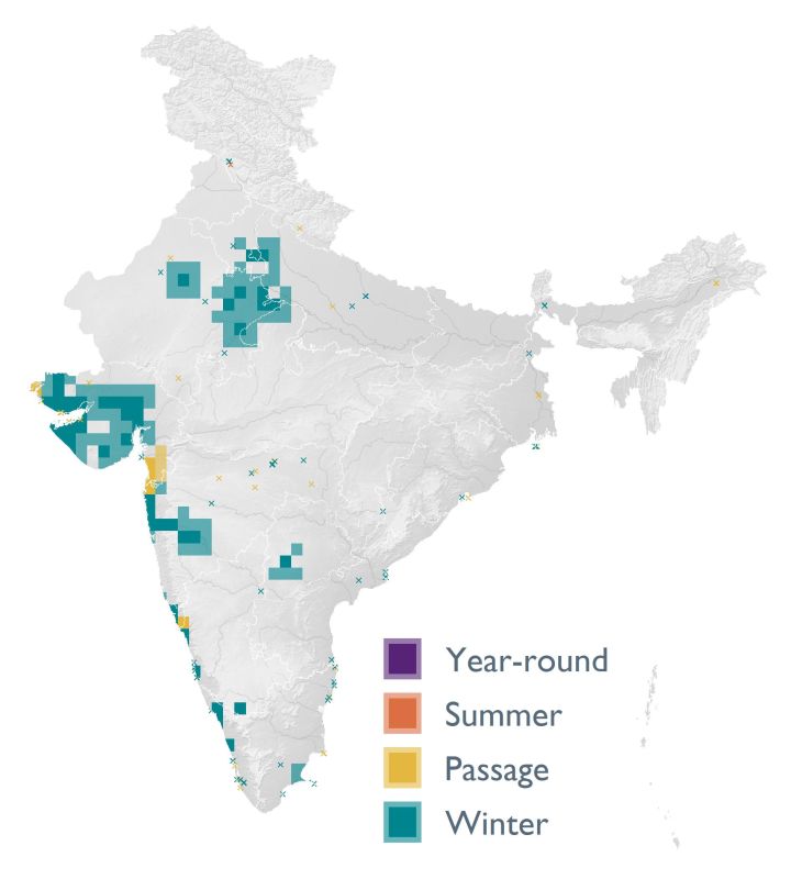 Distribution map (SoIB 2020)