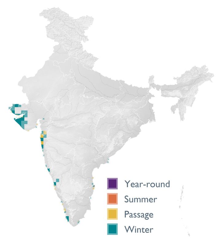 Distribution map (SoIB 2020)