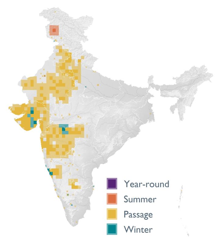 Distribution map (SoIB 2020)