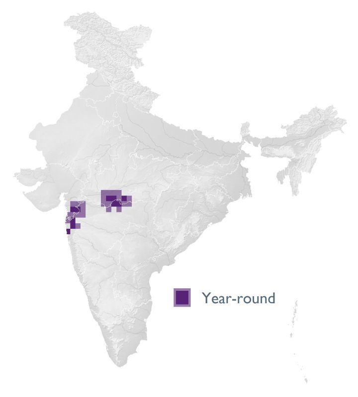 Distribution map (SoIB 2020)