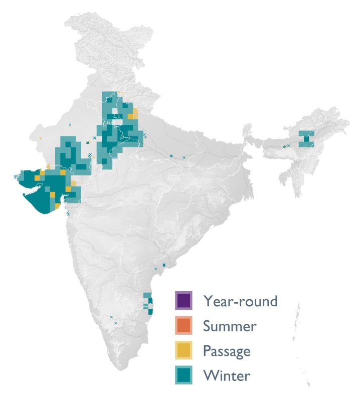 Distribution map (SoIB 2020)