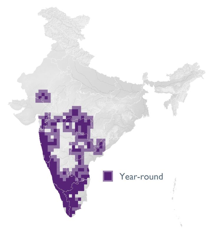 Distribution map (SoIB 2020)