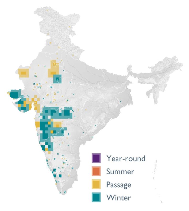 Distribution map (SoIB 2020)