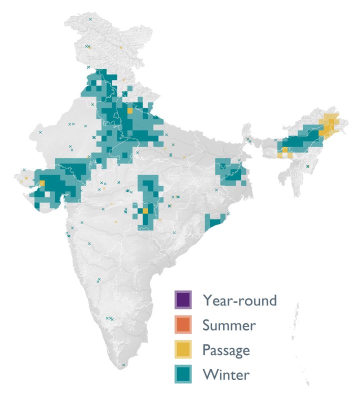 Distribution map (SoIB 2020)