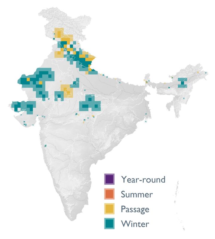 Distribution map (SoIB 2020)