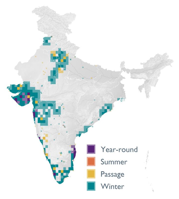 Distribution map (SoIB 2020)