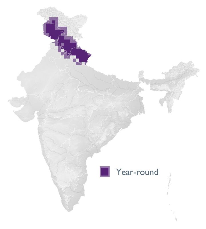 Distribution map (SoIB 2020)