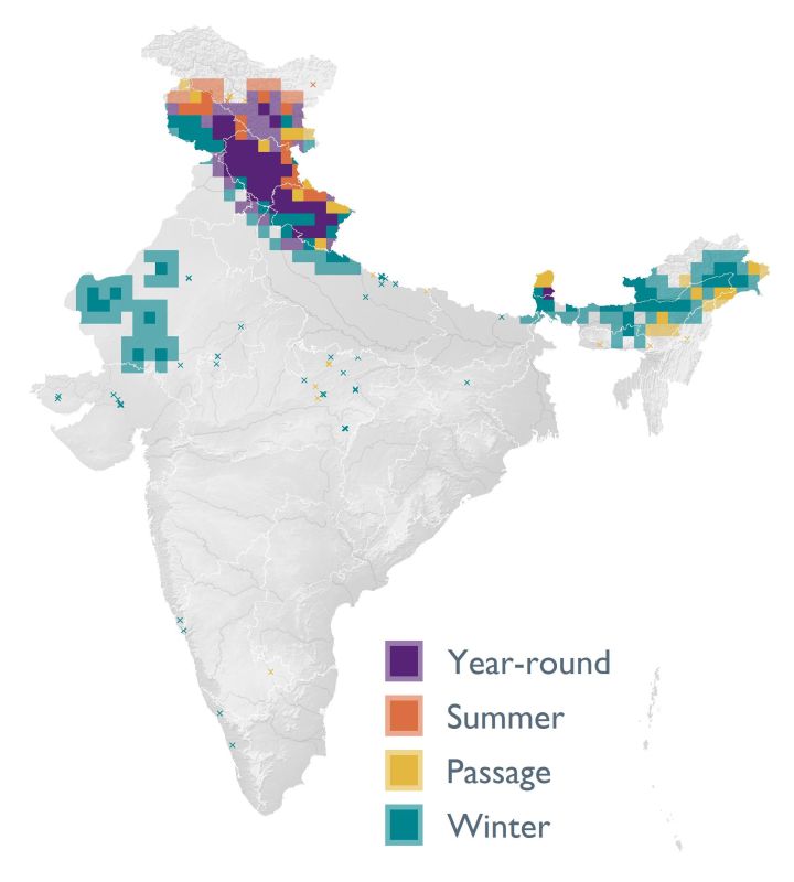 Distribution map (SoIB 2020)