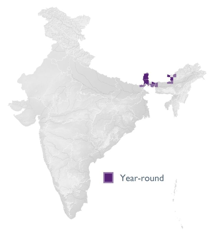 Distribution map (SoIB 2020)