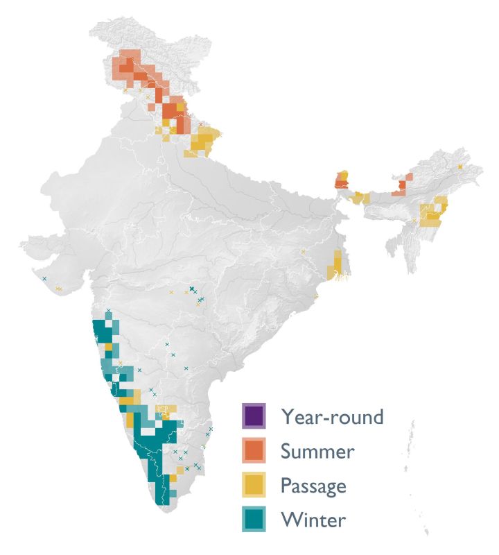 Distribution map (SoIB 2020)