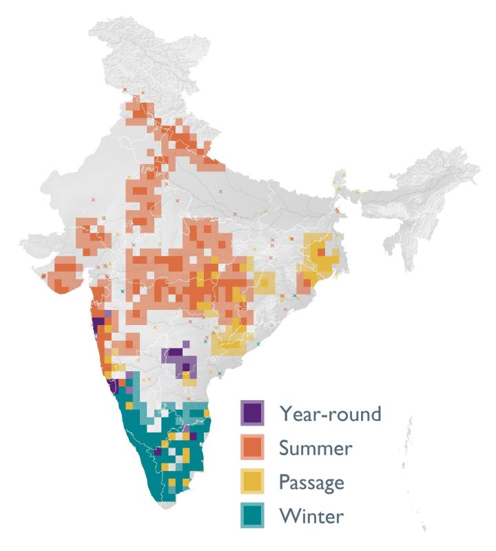 Distribution map (SoIB 2020)