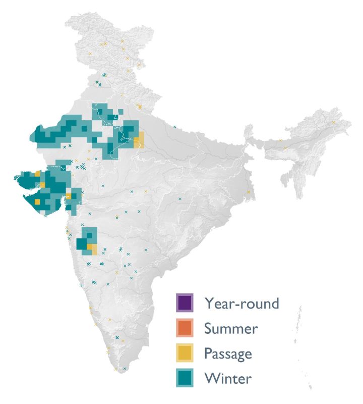 Distribution map (SoIB 2020)