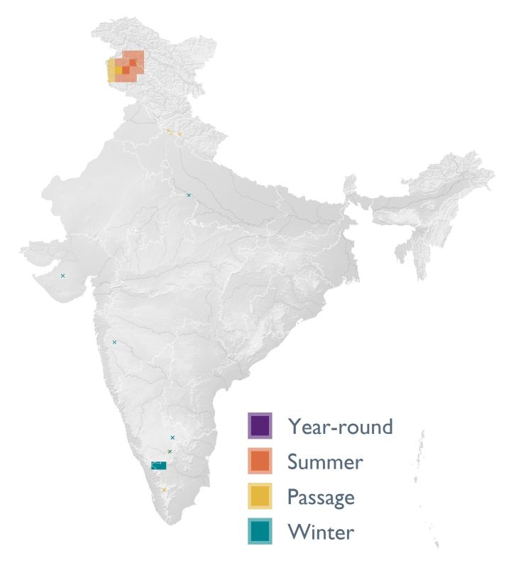 Distribution map (SoIB 2020)