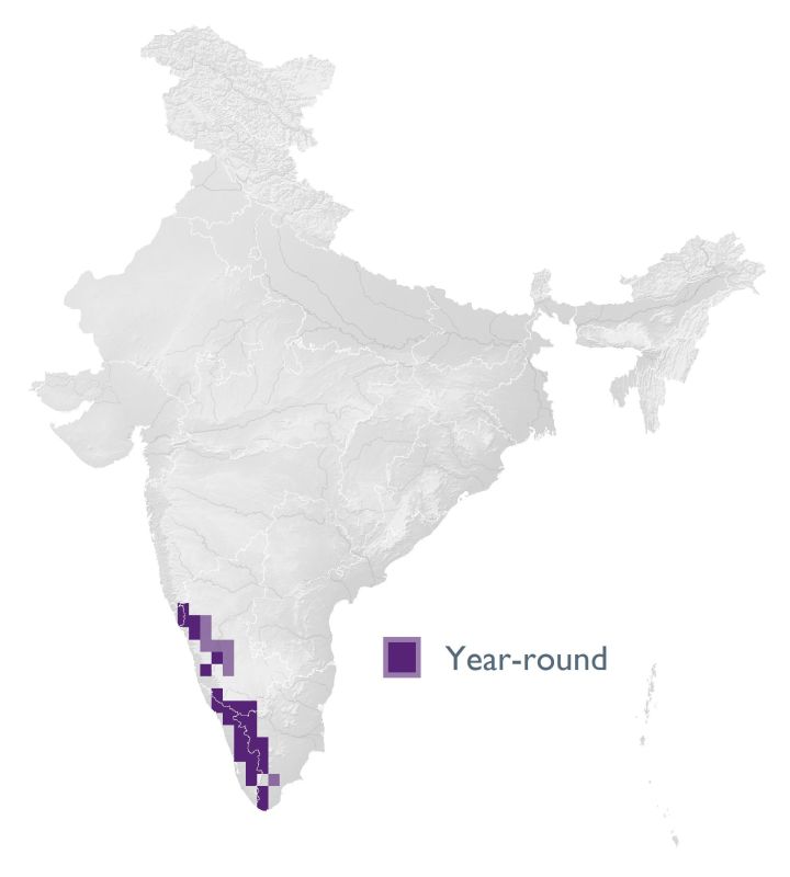 Distribution map (SoIB 2020)