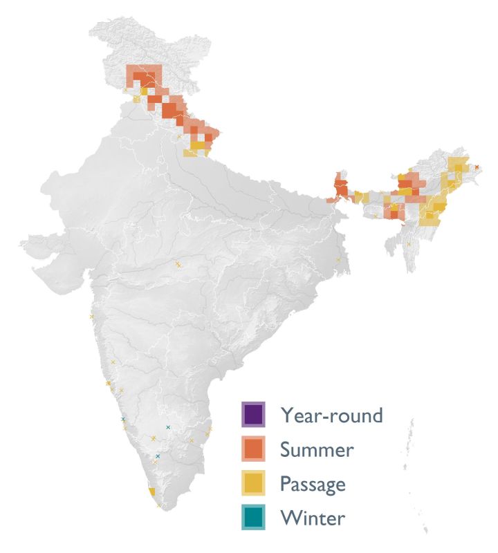 Distribution map (SoIB 2020)