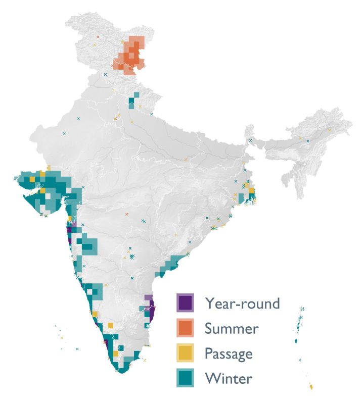 Distribution map (SoIB 2020)