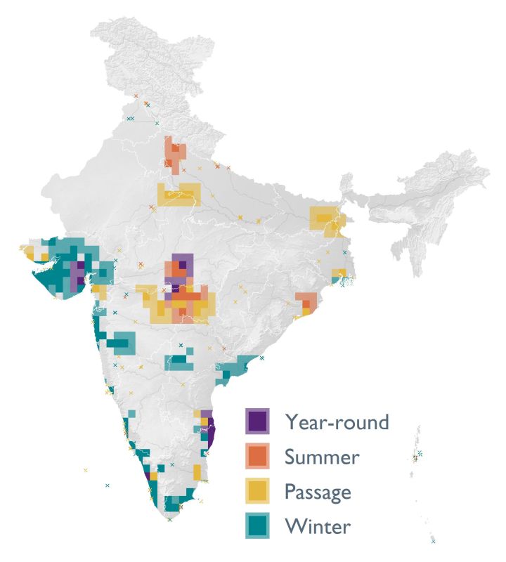 Distribution map (SoIB 2020)