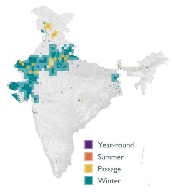 Distribution map (SoIB 2020)