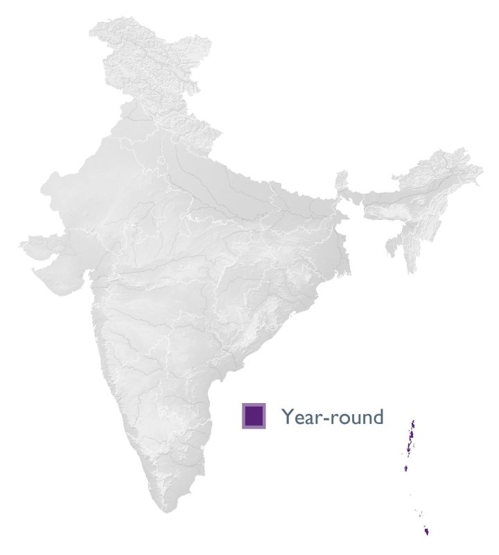 Distribution map (SoIB 2020)