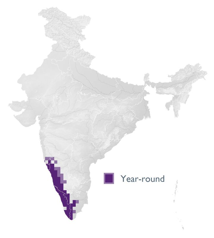 Distribution map (SoIB 2020)