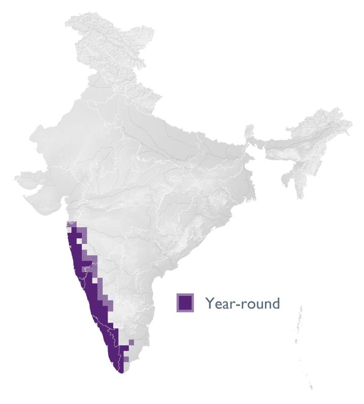 Distribution map (SoIB 2020)