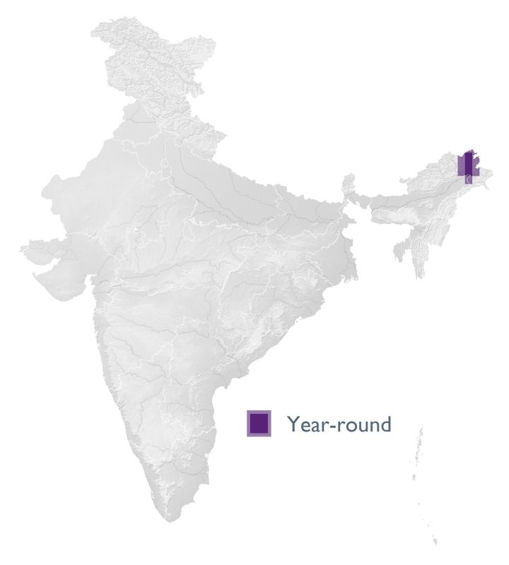 Distribution map (SoIB 2020)