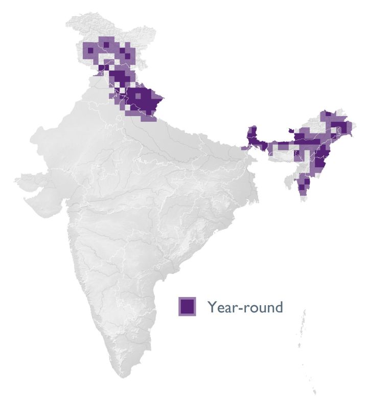 Distribution map (SoIB 2020)